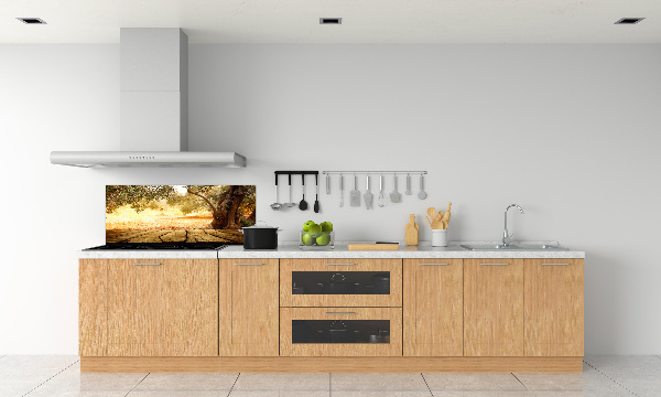 Cooker splashback Olive tree