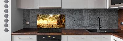 Cooker splashback Olive tree