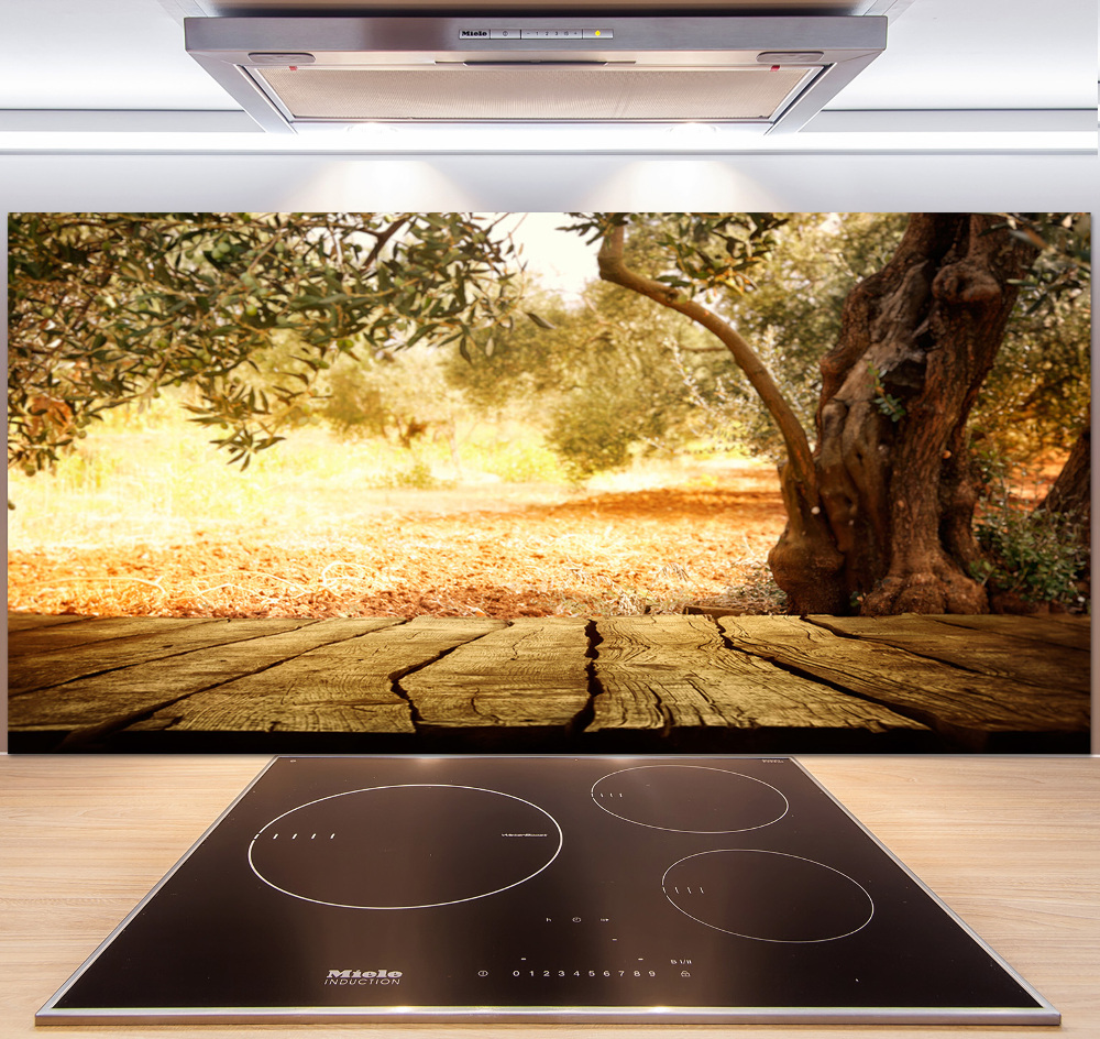 Cooker splashback Olive tree