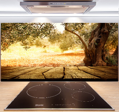 Cooker splashback Olive tree