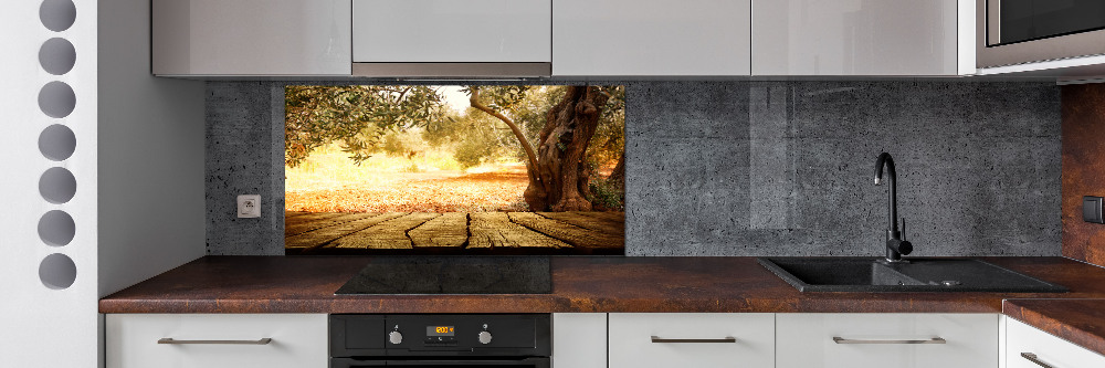 Cooker splashback Olive tree