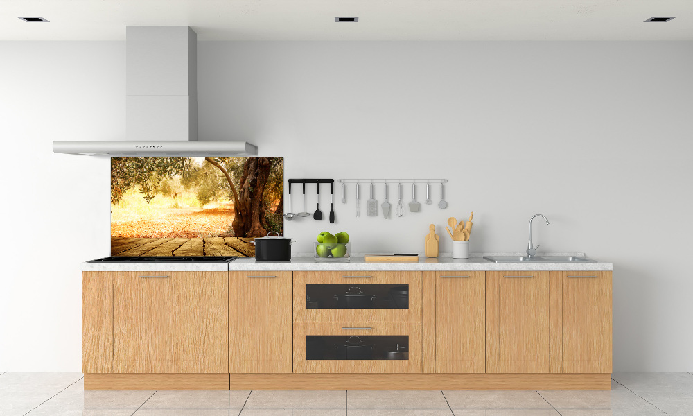 Cooker splashback Olive tree