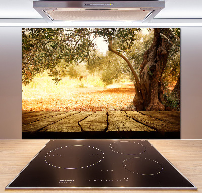 Cooker splashback Olive tree