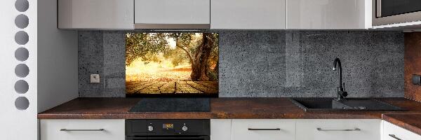 Cooker splashback Olive tree