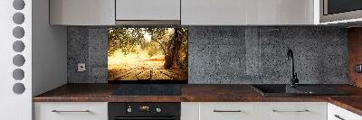 Cooker splashback Olive tree