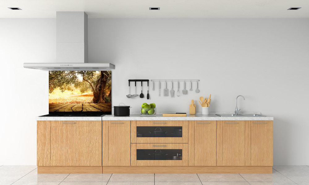 Cooker splashback Olive tree