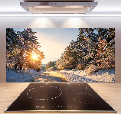 Cooker splashback Road in the forest in winter