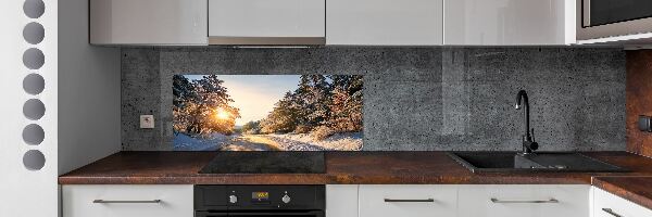 Cooker splashback Road in the forest in winter