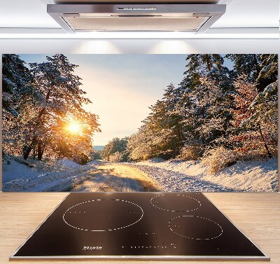 Cooker splashback Road in the forest in winter