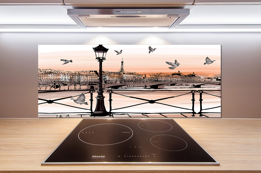 Cooker splashback Twilight in Paris