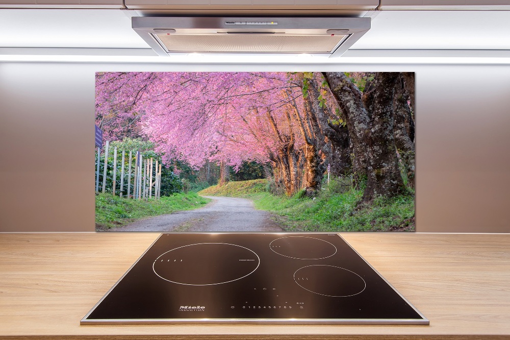 Cooker splashback Cherry blossoms