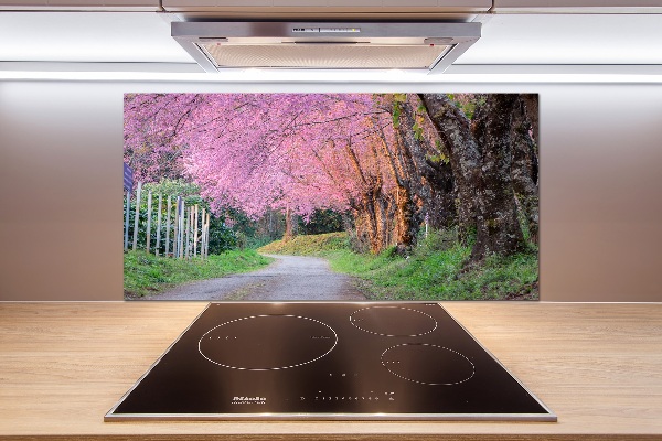 Cooker splashback Cherry blossoms