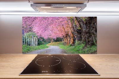 Cooker splashback Cherry blossoms