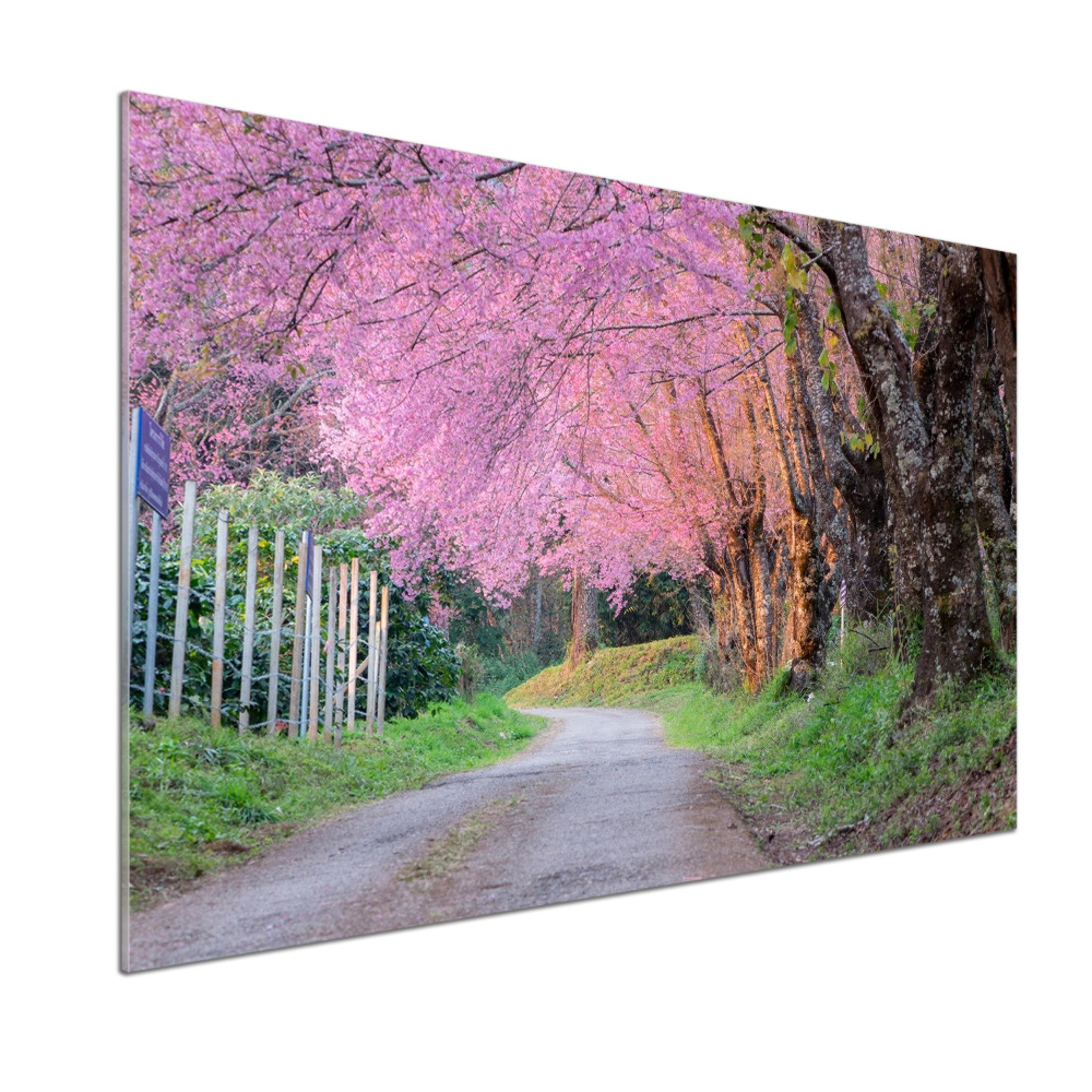 Cooker splashback Cherry blossoms