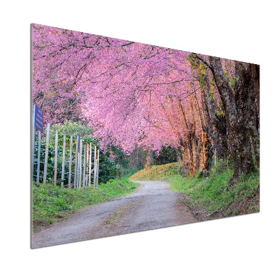 Cooker splashback Cherry blossoms