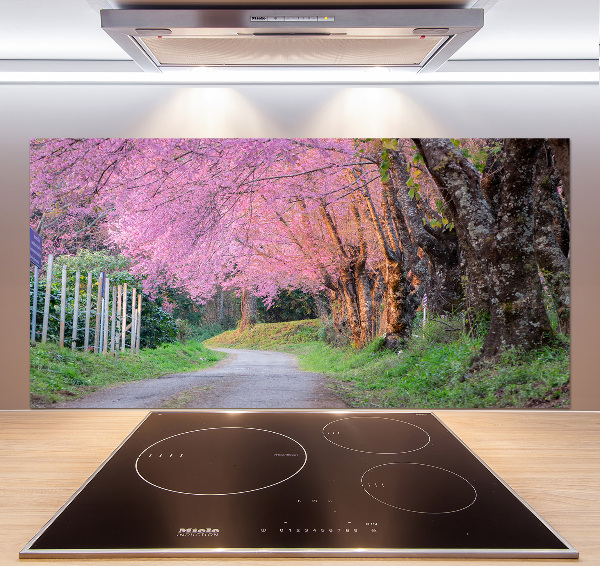 Cooker splashback Cherry blossoms