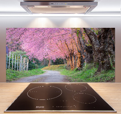 Cooker splashback Cherry blossoms