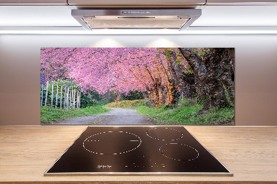 Cooker splashback Cherry blossoms