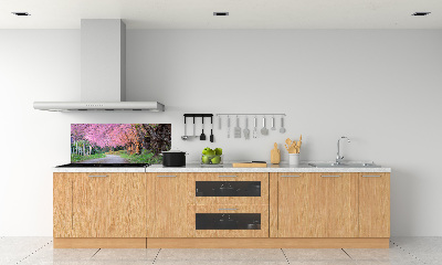 Cooker splashback Cherry blossoms