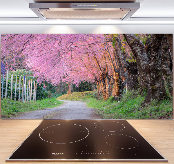 Cooker splashback Cherry blossoms