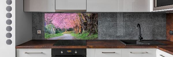 Cooker splashback Cherry blossoms