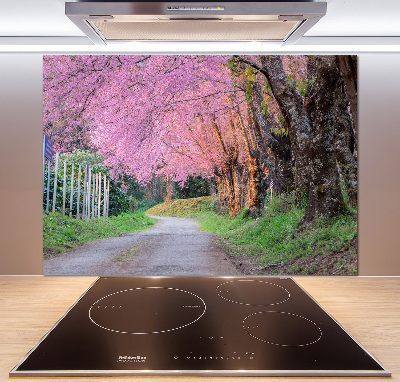 Cooker splashback Cherry blossoms