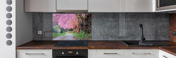 Cooker splashback Cherry blossoms