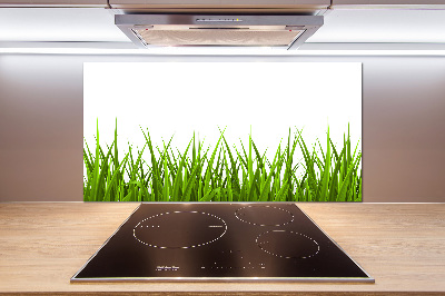 Kitchen wall panels Grass