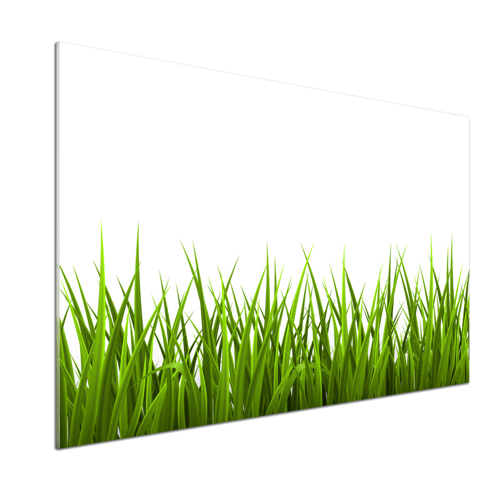 Kitchen wall panels Grass