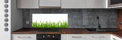 Kitchen wall panels Grass