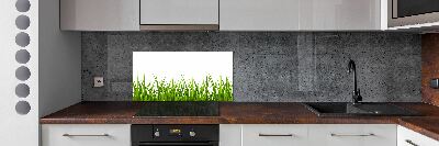 Kitchen wall panels Grass