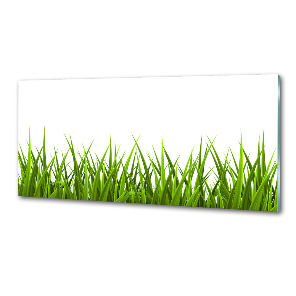 Kitchen wall panels Grass