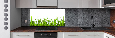 Kitchen wall panels Grass