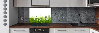 Kitchen wall panels Grass