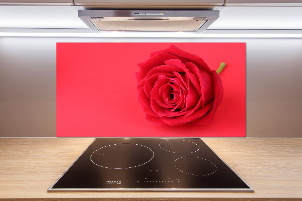 Cooker splashback Red rose