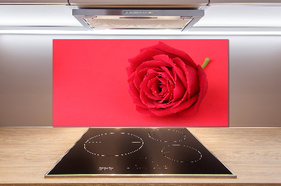 Cooker splashback Red rose