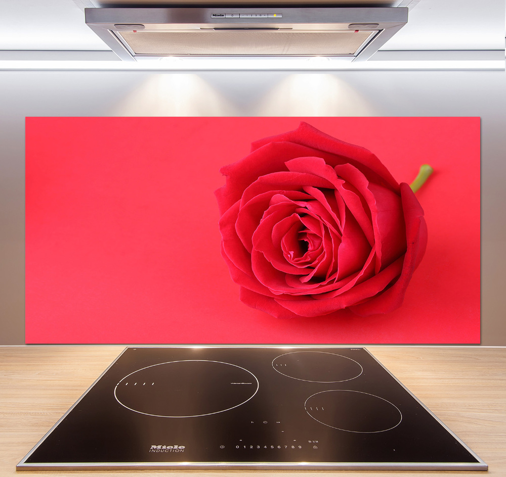 Cooker splashback Red rose