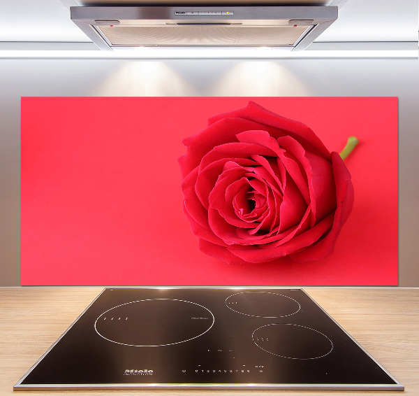 Cooker splashback Red rose