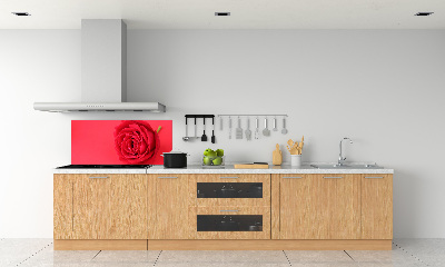 Cooker splashback Red rose