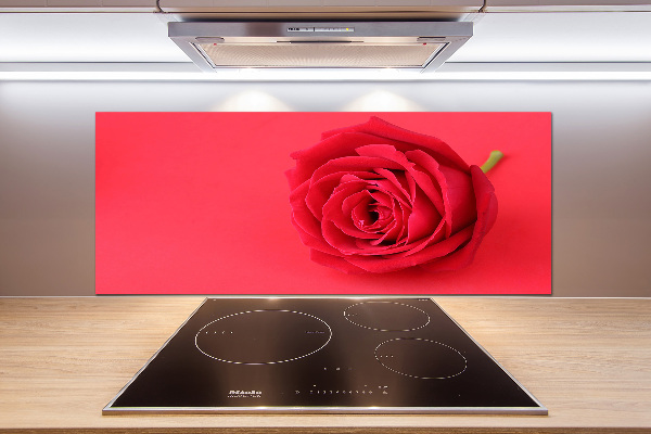 Cooker splashback Red rose