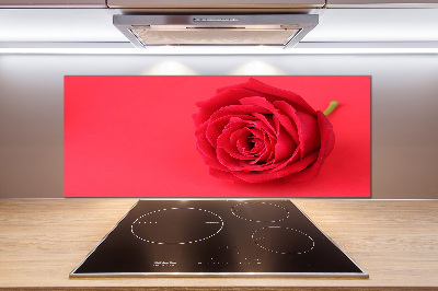 Cooker splashback Red rose