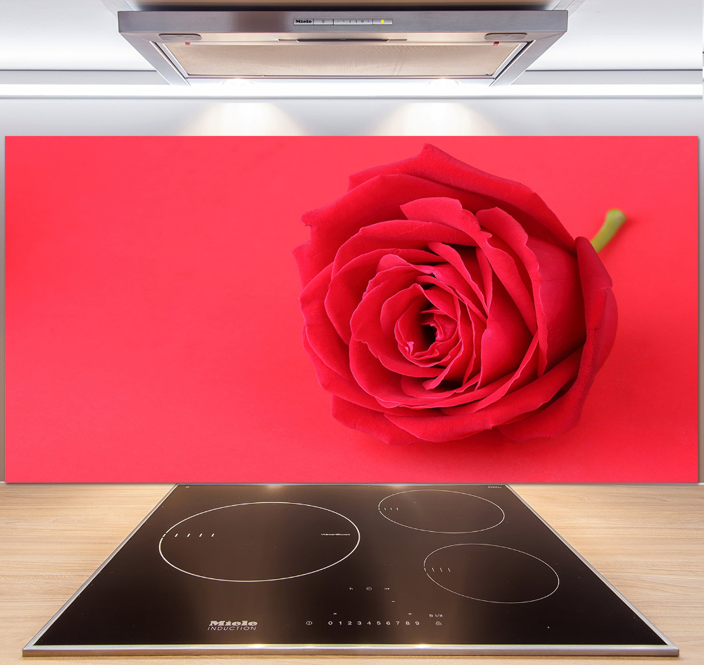 Cooker splashback Red rose