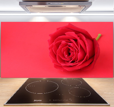 Cooker splashback Red rose