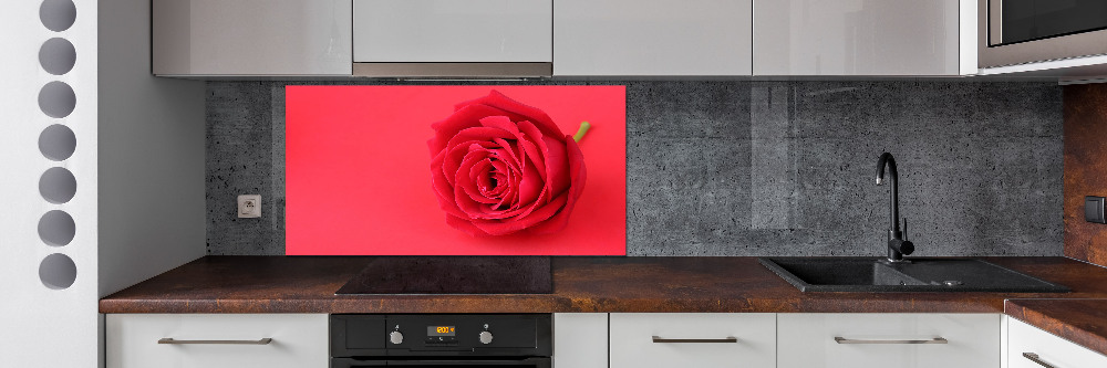 Cooker splashback Red rose