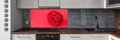 Cooker splashback Red rose