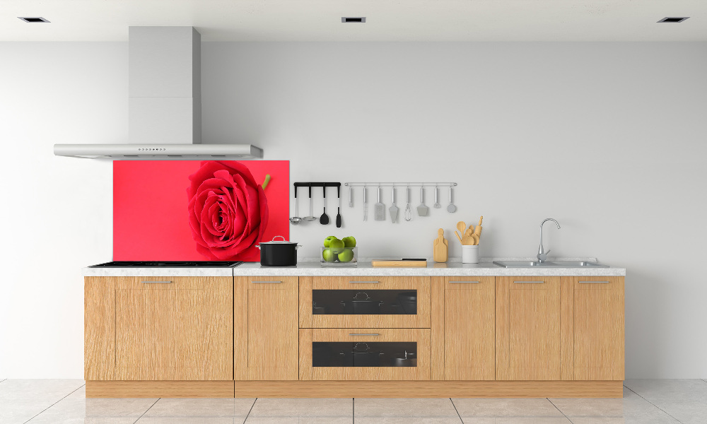 Cooker splashback Red rose