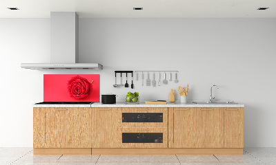 Cooker splashback Red rose