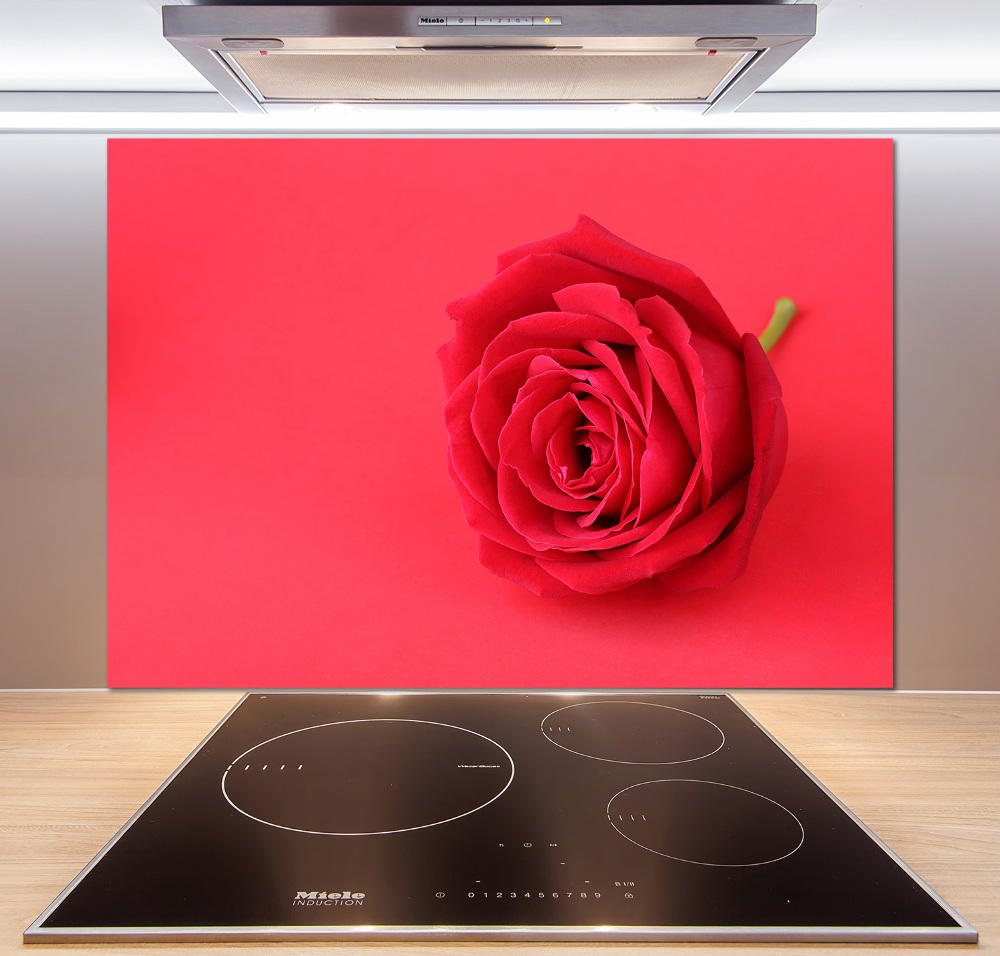 Cooker splashback Red rose