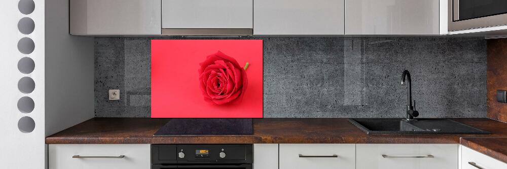 Cooker splashback Red rose