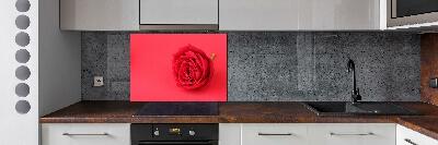 Cooker splashback Red rose